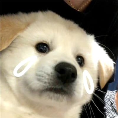 Bryanboy avatar